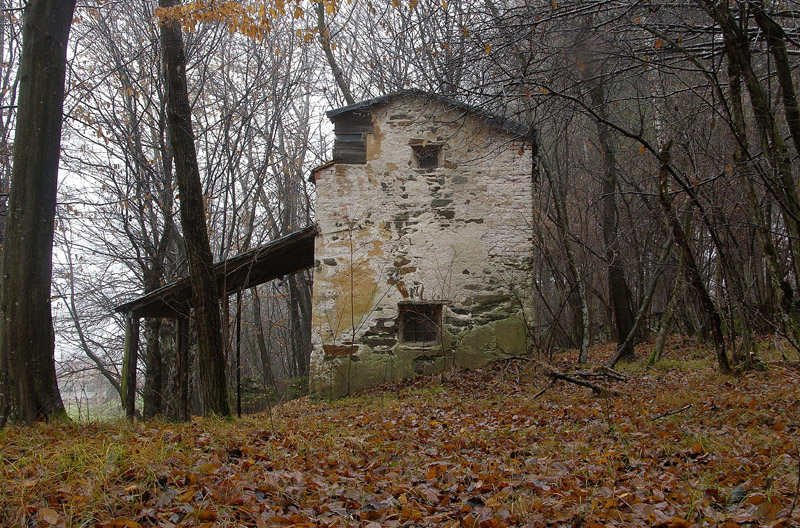 Atmosfere nel bosco......